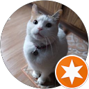 Missy Muzi profile picture